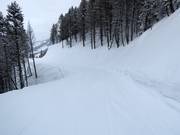 Pista facile Way Home