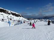 Area esercitazioni Alpine Meadow