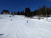 Sciovia per bambini a Bedřichov