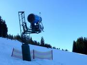 Cannone da neve presso la montagna locale