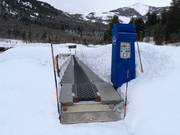 Grizzly Carpet - Tapis roulant/Tappeto Magico