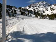 Area di esercitazione presso lo skilift della scuola di sci