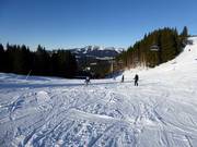 Pista facile Autobahn