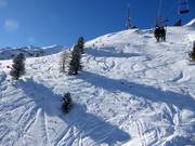 Zona di neve fresca al Langenstein