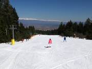 Pista molto facile Ski road №1a presso lo skilift Vlek Chalin