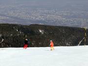 Pista Laleto lesna 3