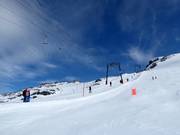 Gletscher Skilift Titlis - Skilift con T-bar/ancora