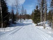 Piste da fondo a Kläppen