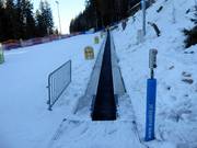 Dywan - Tapis roulant/Tappeto Magico