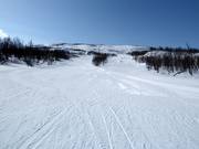 Pista facile nella parte inferiore della seggiovia Kåppasliften