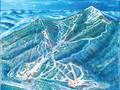 Mappa delle piste Whiteface - Lake Placid