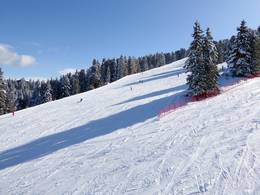 Alpe Cermis - Cavalese