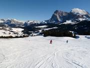 Pista presso la seggiovia Floralpina