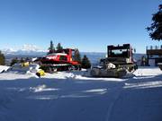 Sono disponibili due battipista.