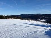 Piste facili presso gli impianti di risalita Thurnhof