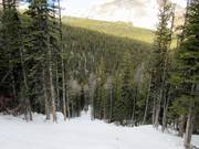 Ripidamente si scende nelle Monster Glades verso valle.