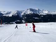 Pista di slalom gigante