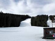 Pista presso la seggiovia doppia