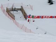 TK Lady - Manovia/Babylift a fune bassa