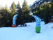 Suggerimento per i più piccoli 