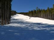 Discesa Lincoln Meadows