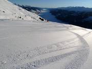 Pista appena preparata