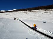 Tappeto magico a Sent