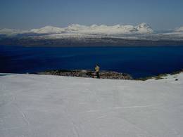 Narvikfjellet - Narvik