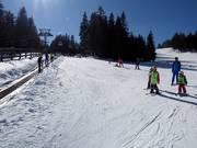 Tappeto mobile con pista di esercitazione