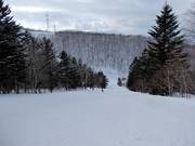 Pista intermedia Isola C