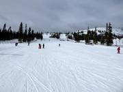 Pista facile e larga Barnbackarna