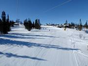 Pista facile Vesleseterbakken