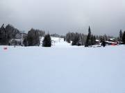 Pista Aladar's Alley