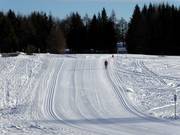Piste da fondo nel centro di sci nordico Viote