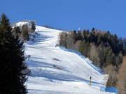 Piste nere Zoncolan 1