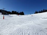 Pista facile Grafenherbergschuss