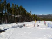 Trygve's Platter - Skilift a piattello