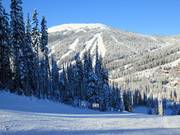 Vista dal Mt. Morrisey verso Top of the World