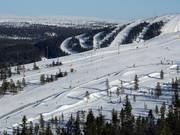 Suggerimento per i più piccoli 