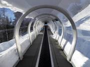 Tappeto coperto al Rosskopf