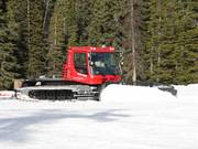 Gatto delle nevi al lavoro