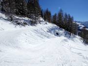 Pista facile Fäuderpiste