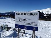 Suggerimento per i più piccoli 