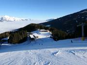 Discesa standard FIS