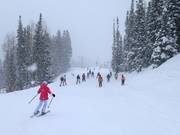 Pista verso la Red Pine Lodge