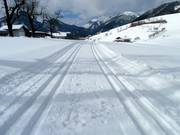 Pista da fondo a Hinterthiersee