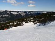 Pista di collegamento Linken