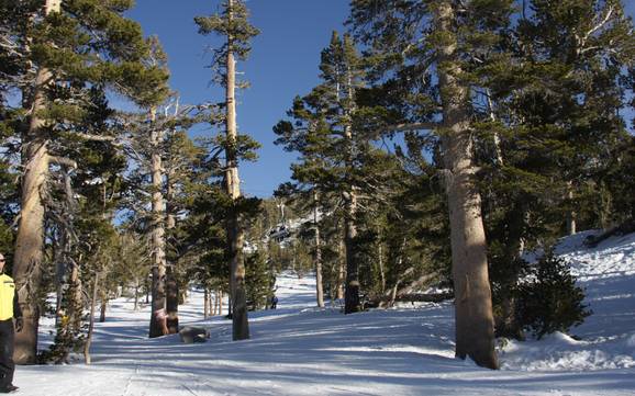 Comprensori sciistici per sciatori esperti e freeriding Carson Range – Sciatori esperti, freerider Heavenly