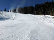 Discesa a valle difficile Heimalm-Rauris