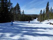 Discesa facile Dalarnas längste